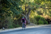 C4154614