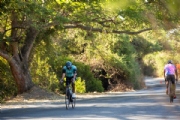V4154978