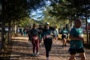 I4162142