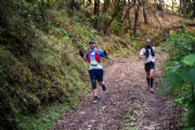 M4159877
