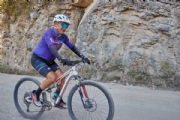 K4184290