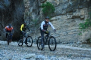 F4179982