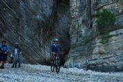 J4177276