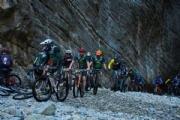 L4179454
