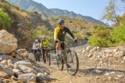 D4174897