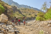 H4174657