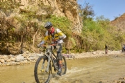 L4174429