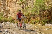 L4175526