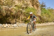 M4175260