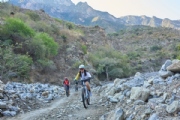 T4176035