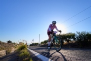 V4198515
