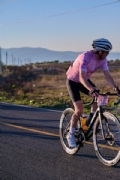 V4206438