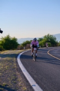 X4204557