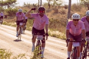 L4199819