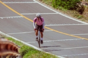 W4201208