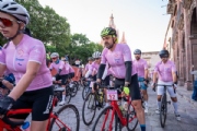 C4203763