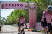 H4204074