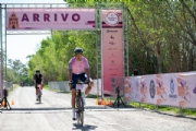 K4202411