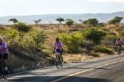 I4192502