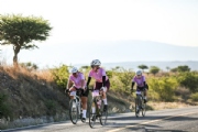 K4194439