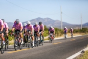 P4194977
