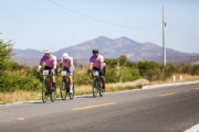 V4193383
