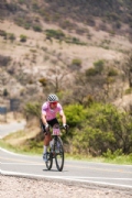 W4194867