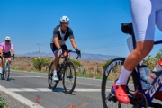 T4197597