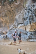 R4212447