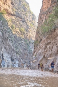 R4212921