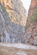 R4213695