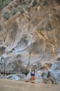 S4212557