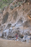 S4213389