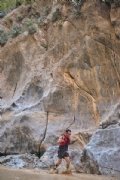 S4213825