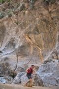 S4213859