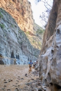 V4213965