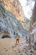 Y4213717