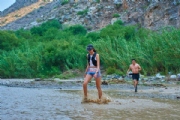 G4209590