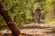F4216517