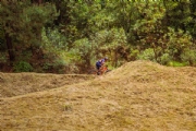 X4216222
