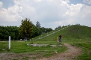 T4217210