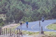 Y4222907