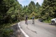 C4221271