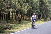 Y4221534