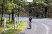 Z4221356