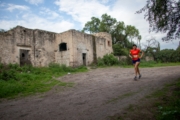I4226288