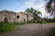 I4226838