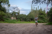 N4225299