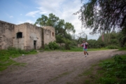 R4226881