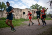 X4226223